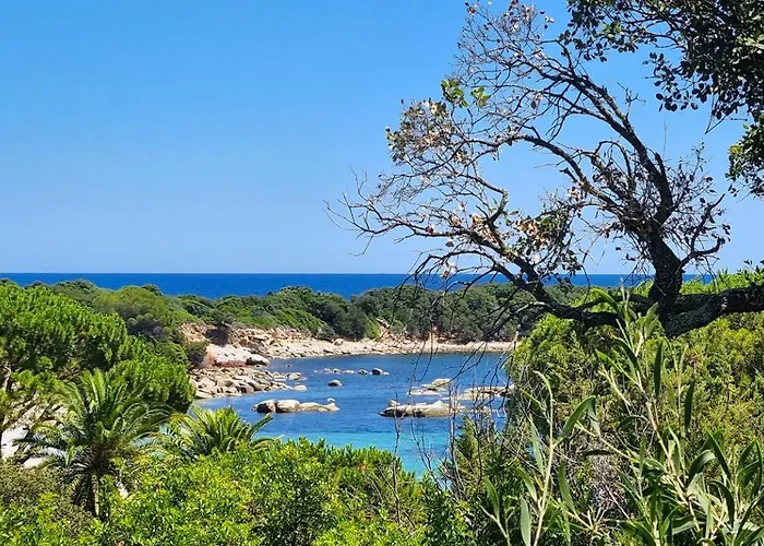 Capicciola, 8 Pers, Piscine, 30 M 别墅